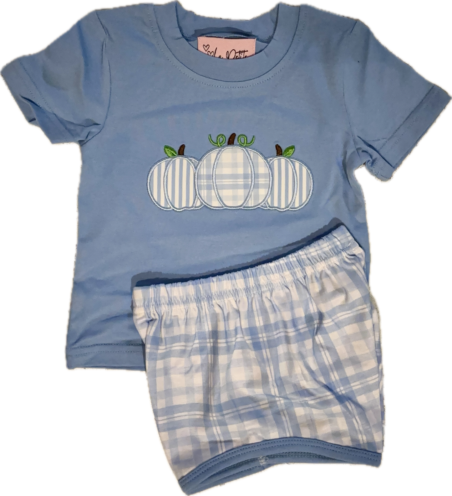 Blue Plaid Pumpkin set